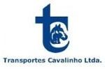 Logo cavalinho
